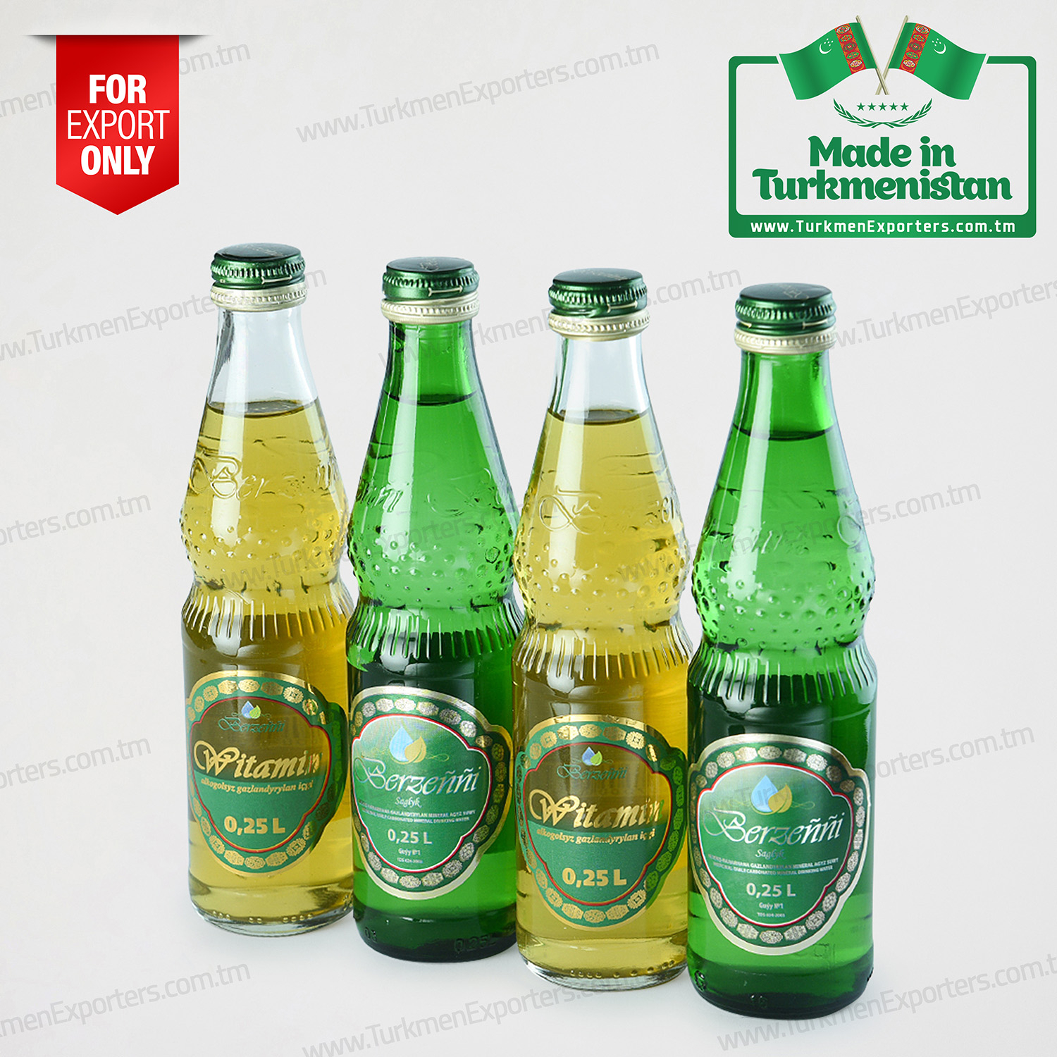 Turkmenistan medicinal mineral waters Berzengi | Berzengi mineral medicinal water enterprise