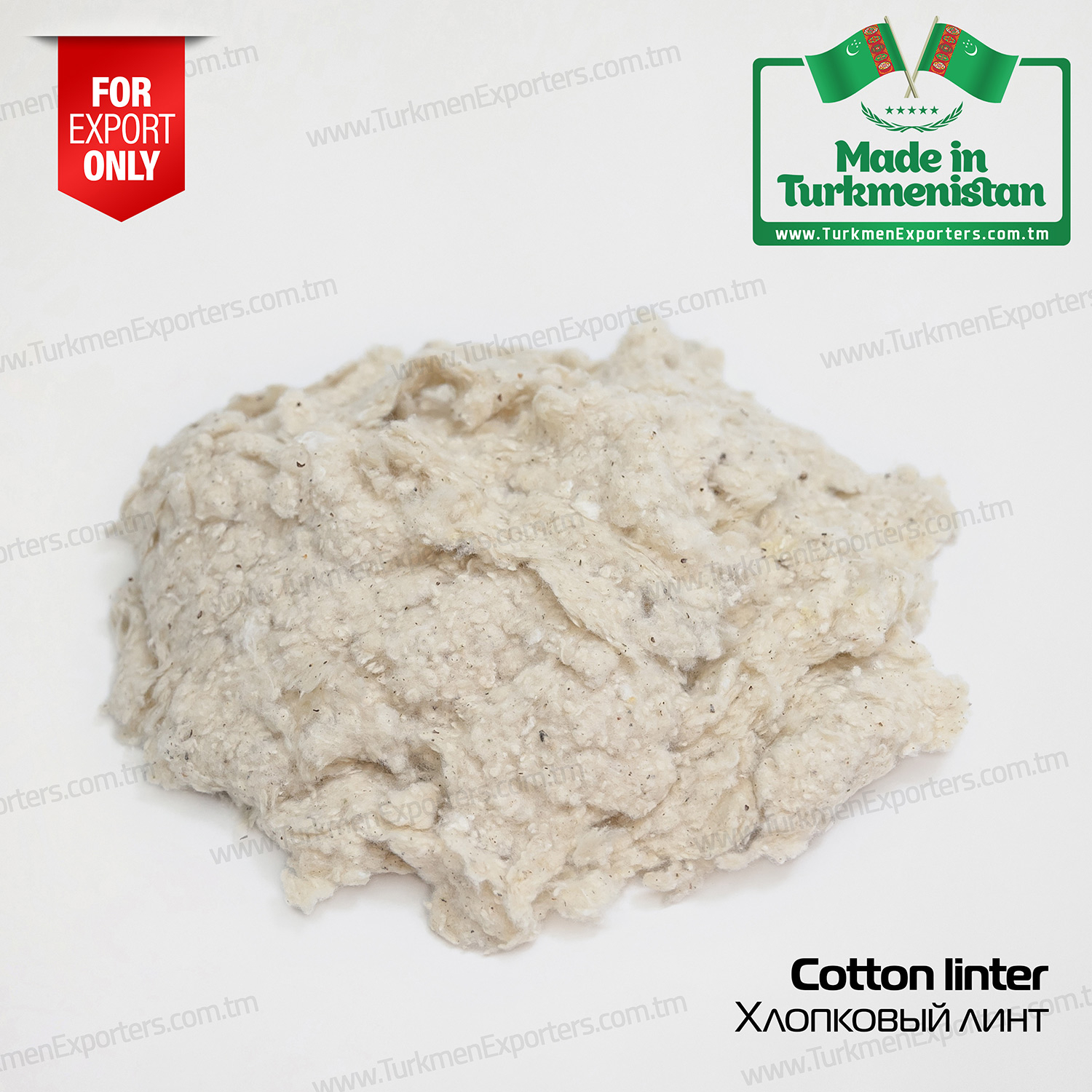 Cotton linter wholesale from Turkmenistan | Turkmen Export Trading Services Company
