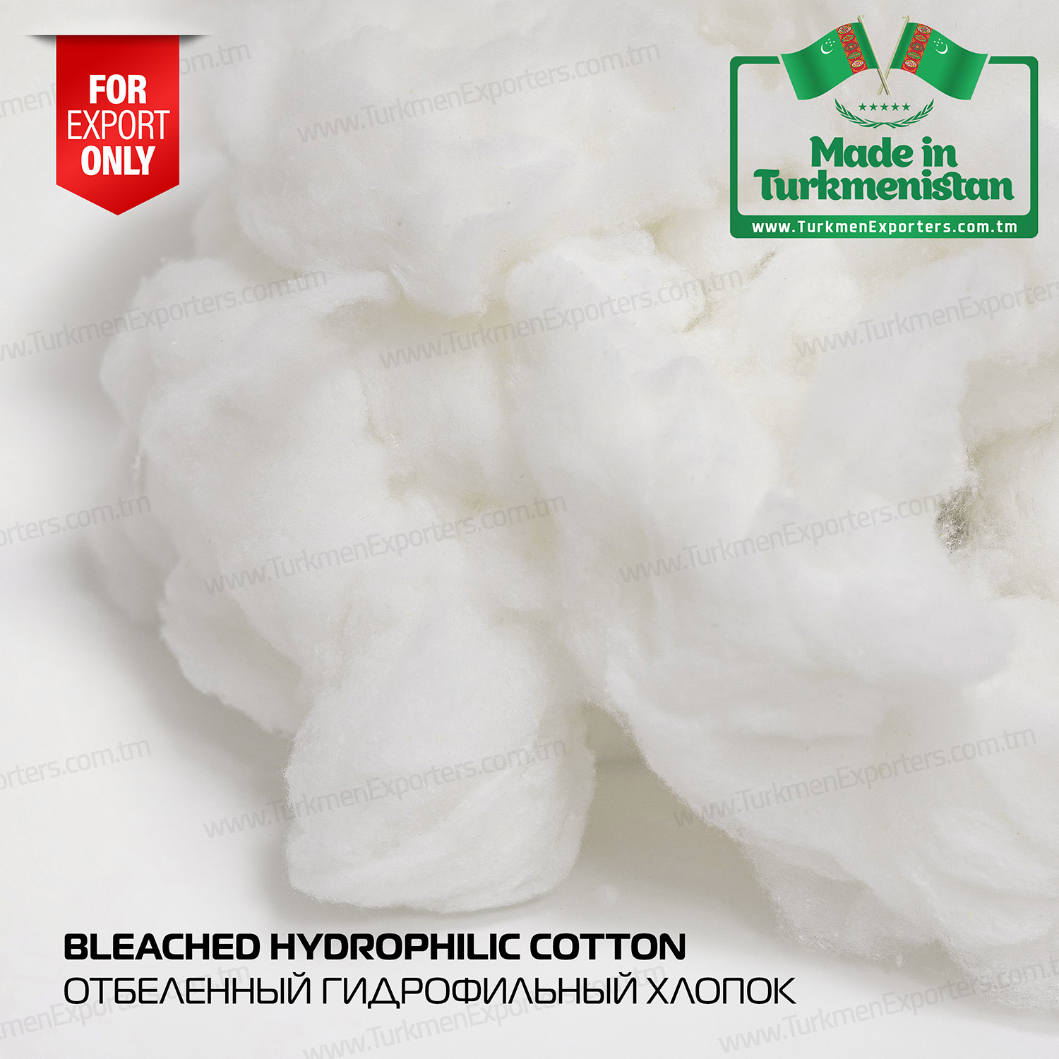 Bleached hydrophilic cotton wholesale from Turkmenistan | Turkmen Export Trading Services Company