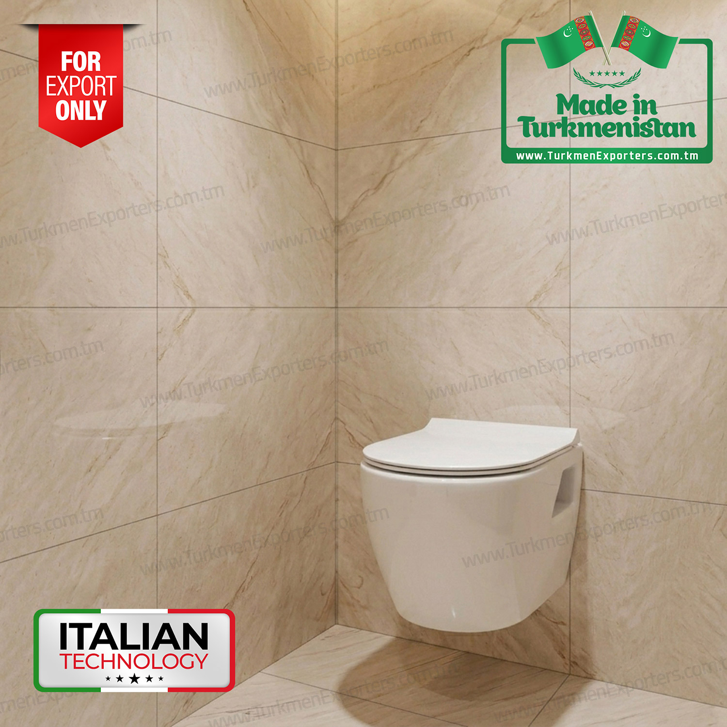 Wall mounted toilet Made in Turkmenistan | Eziz Doganlar Keramika ES