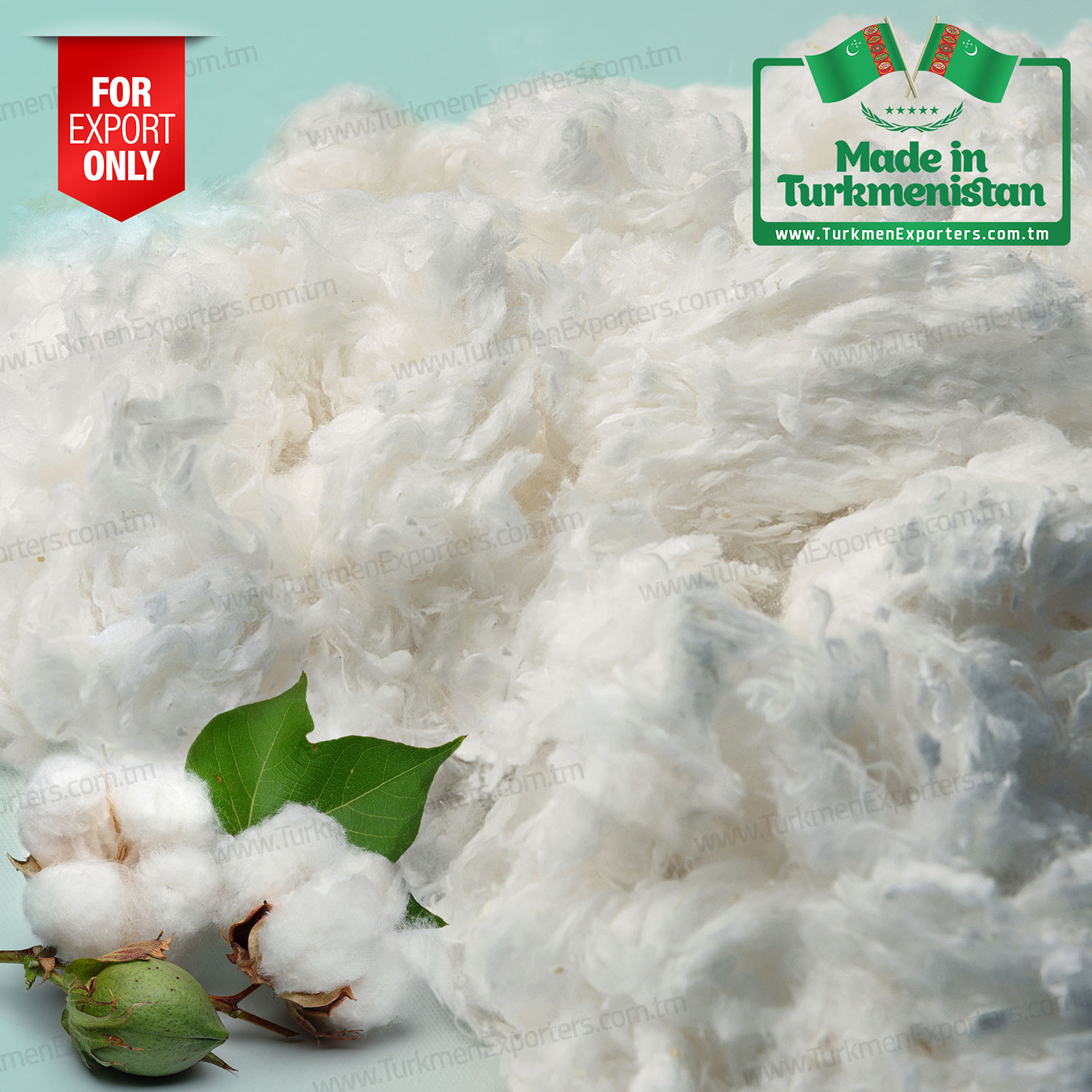 Bleached cotton Made in Turkmenistan | Turkmen Export Trading Services Company