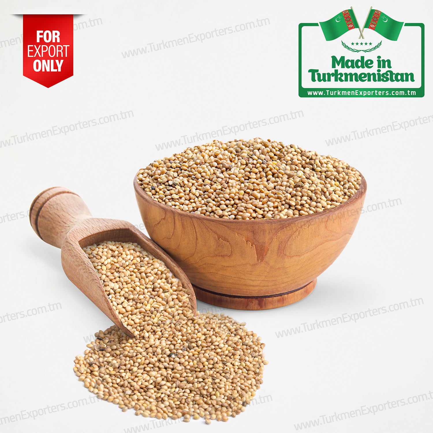Millet seeds wholesale from Turkmenistan | Agricultural complex of Turkmenistan