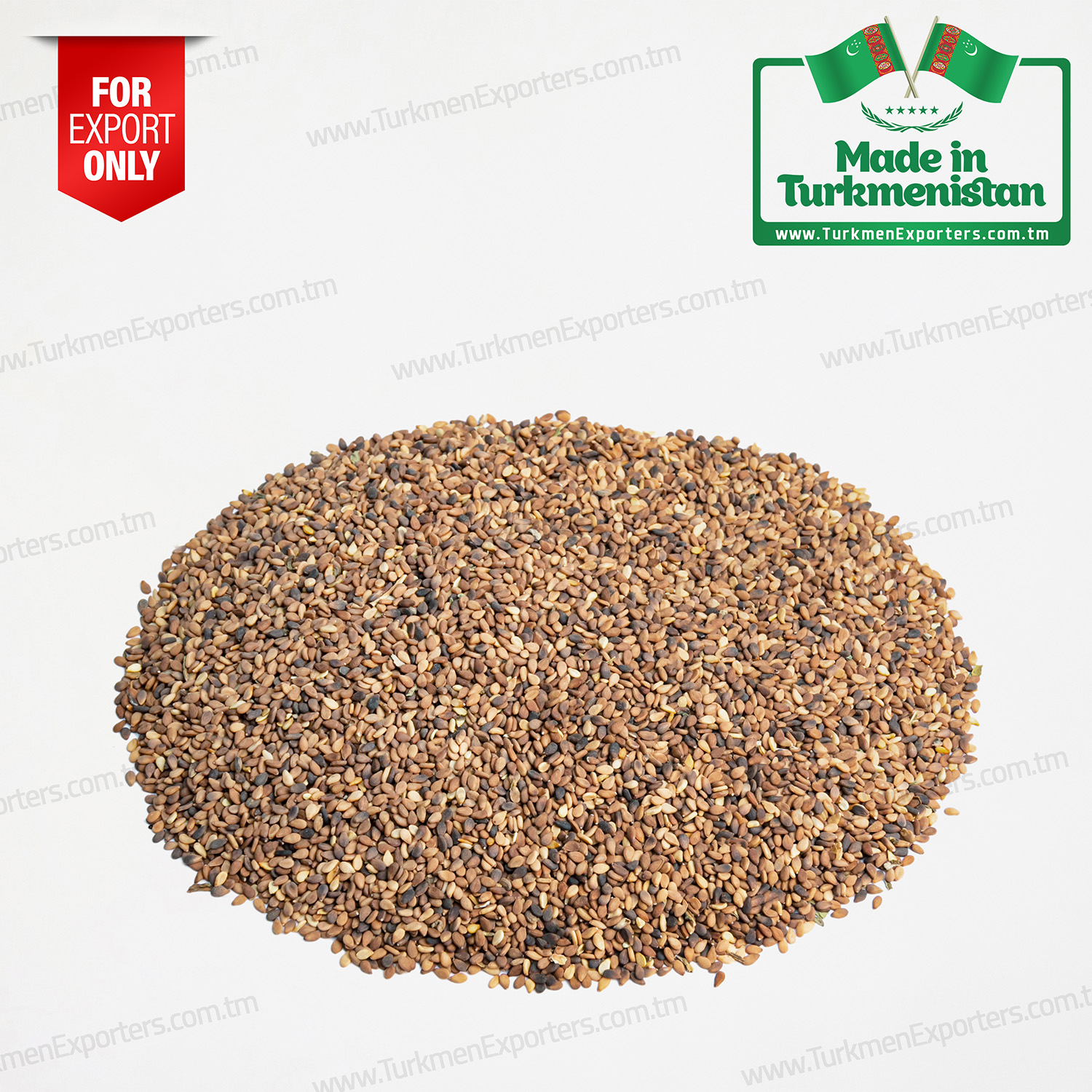Sesame seeds Made in Turkmenistan | Agricultural complex of Turkmenistan