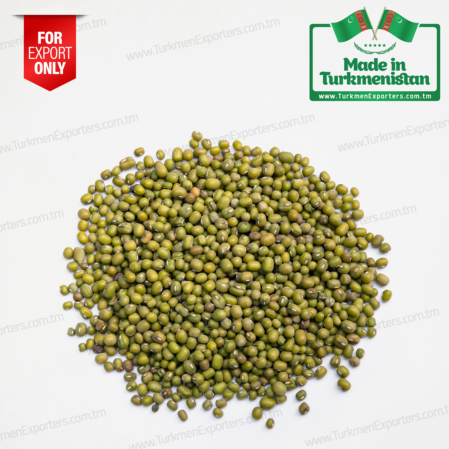 Green mung beans wholesale for export from Turkmenistan | Agricultural complex of Turkmenistan