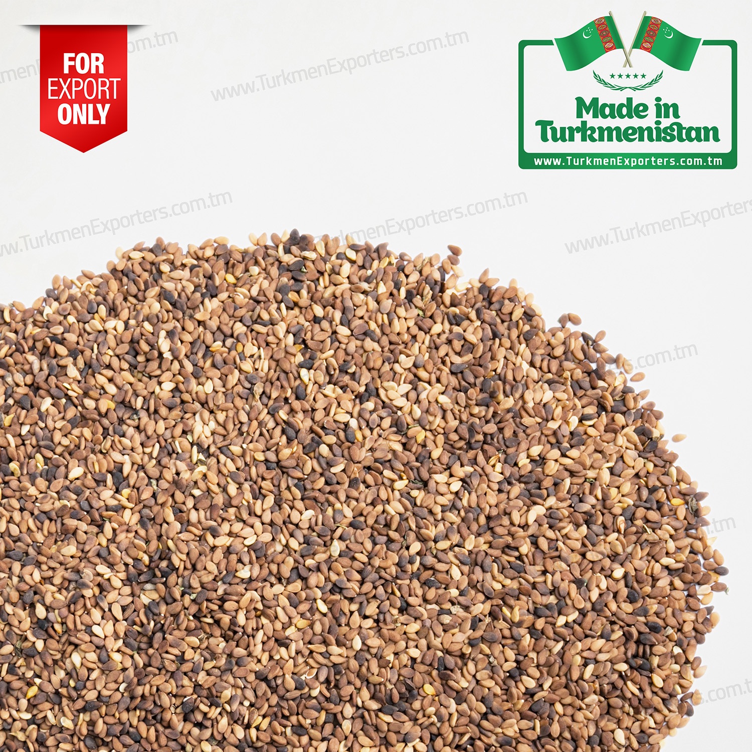 Sesame seeds in Turkmenistan wholesale for export | Agricultural complex of Turkmenistan