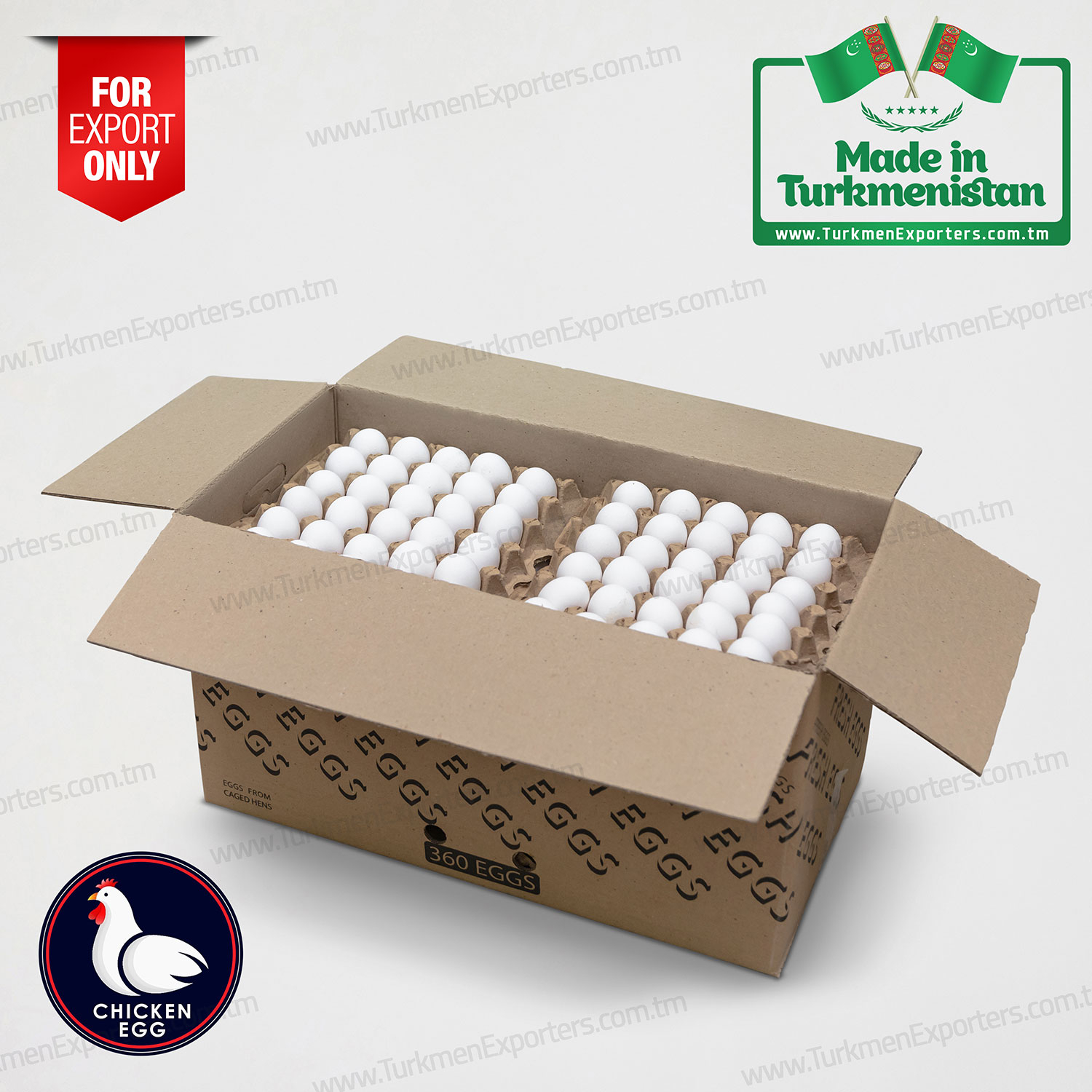 Türkmenistandan toptan tavuk yumurtası | Gurvan limited şirketi