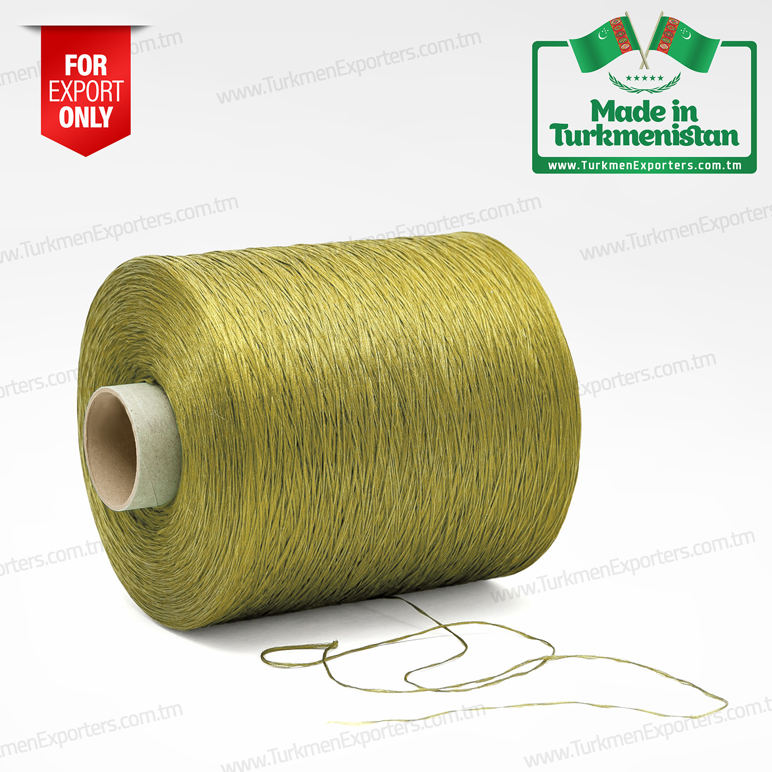 Polypropylene bcf yarn Made in Turkmenistan | Beg Yupek economic society