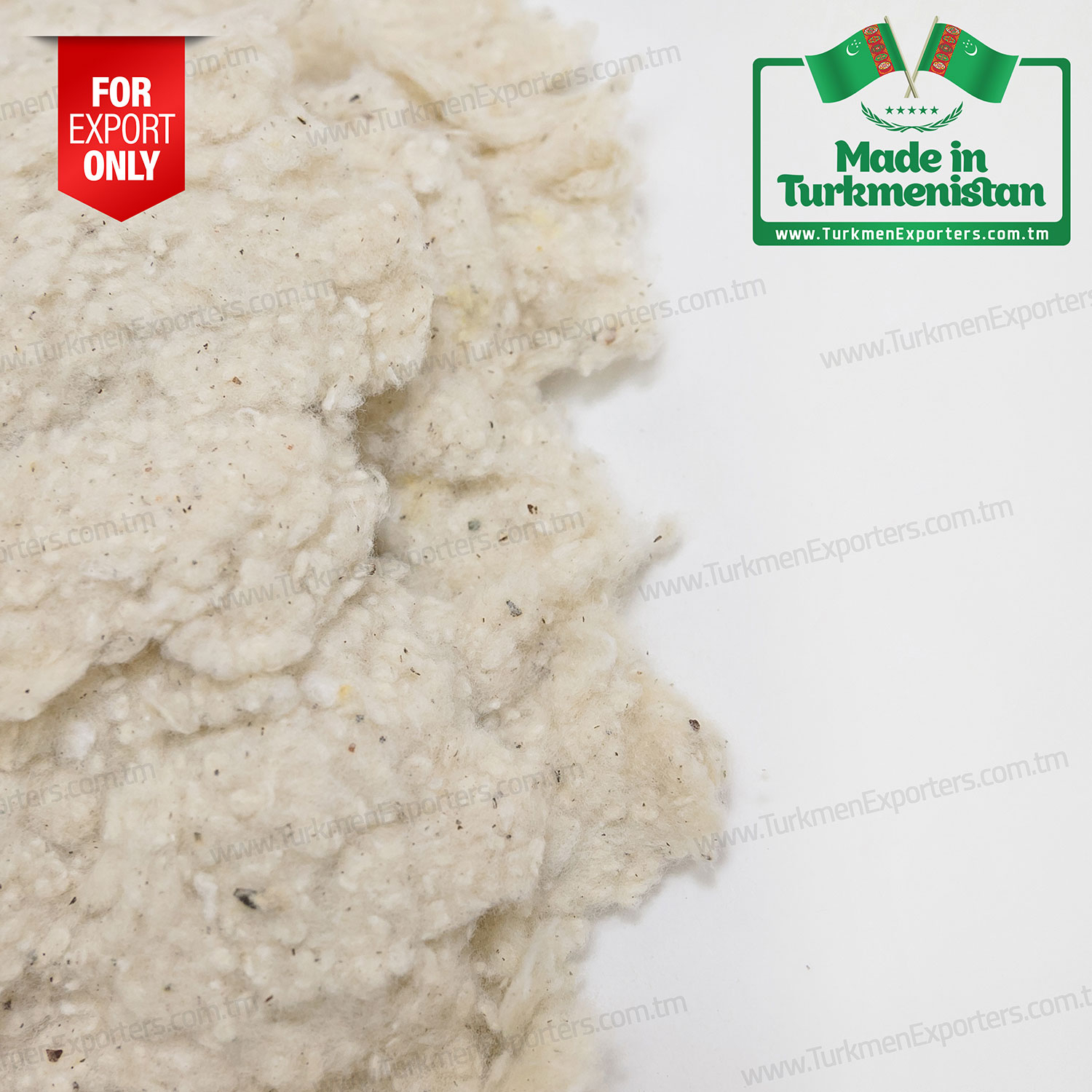 Cotton linter wholesale from Turkmenistan | Turkmen Export Trading Services Company