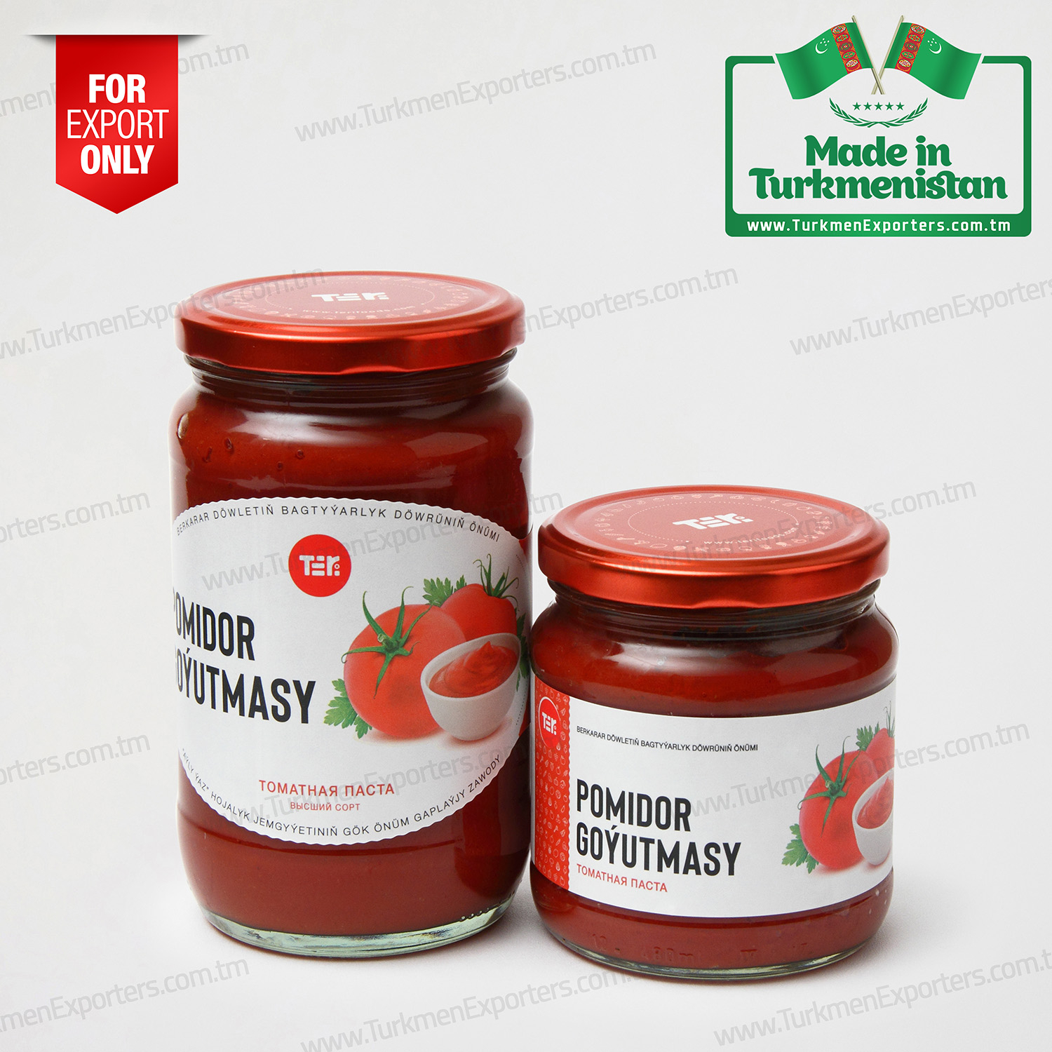 Tomato paste wholesale from Turkmenistan | Ayly Yaz economic society 