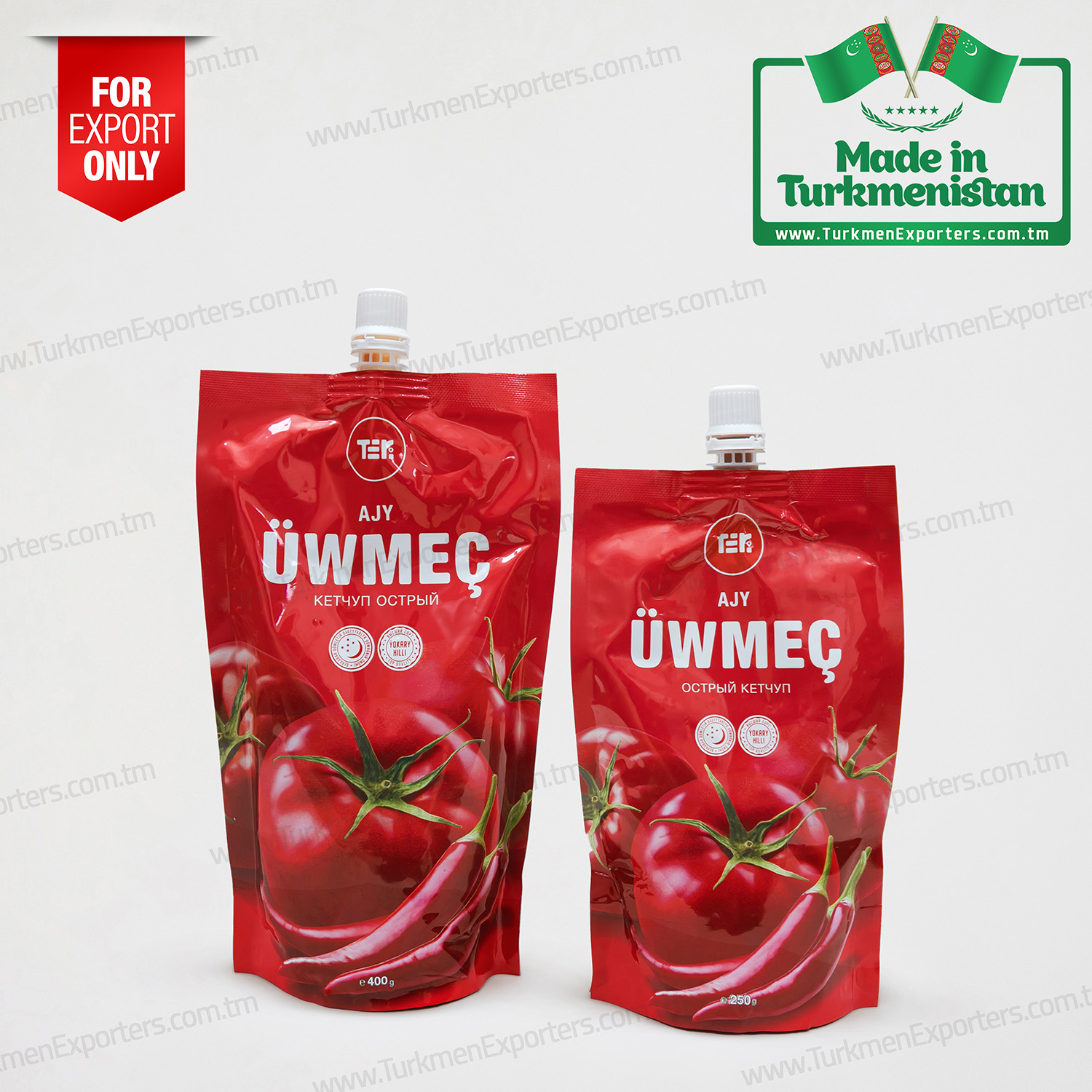 Tomato ketchup wholesale from Turkmenistan | Ayly Yaz economic society 