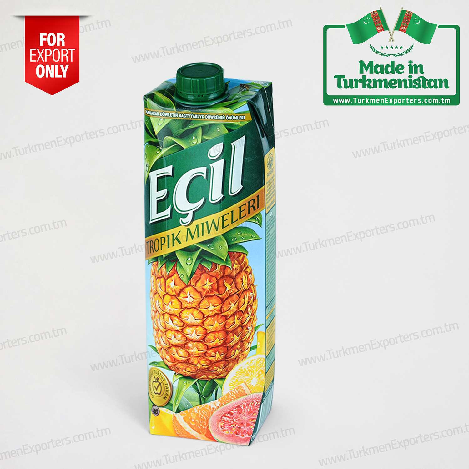 Tropical fruit juice Echil 1 Litre | Parahat individual enterprise