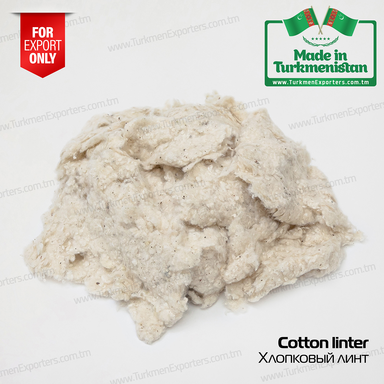 Turkmenistan cotton linter | Turkmen Export Trading Services Company